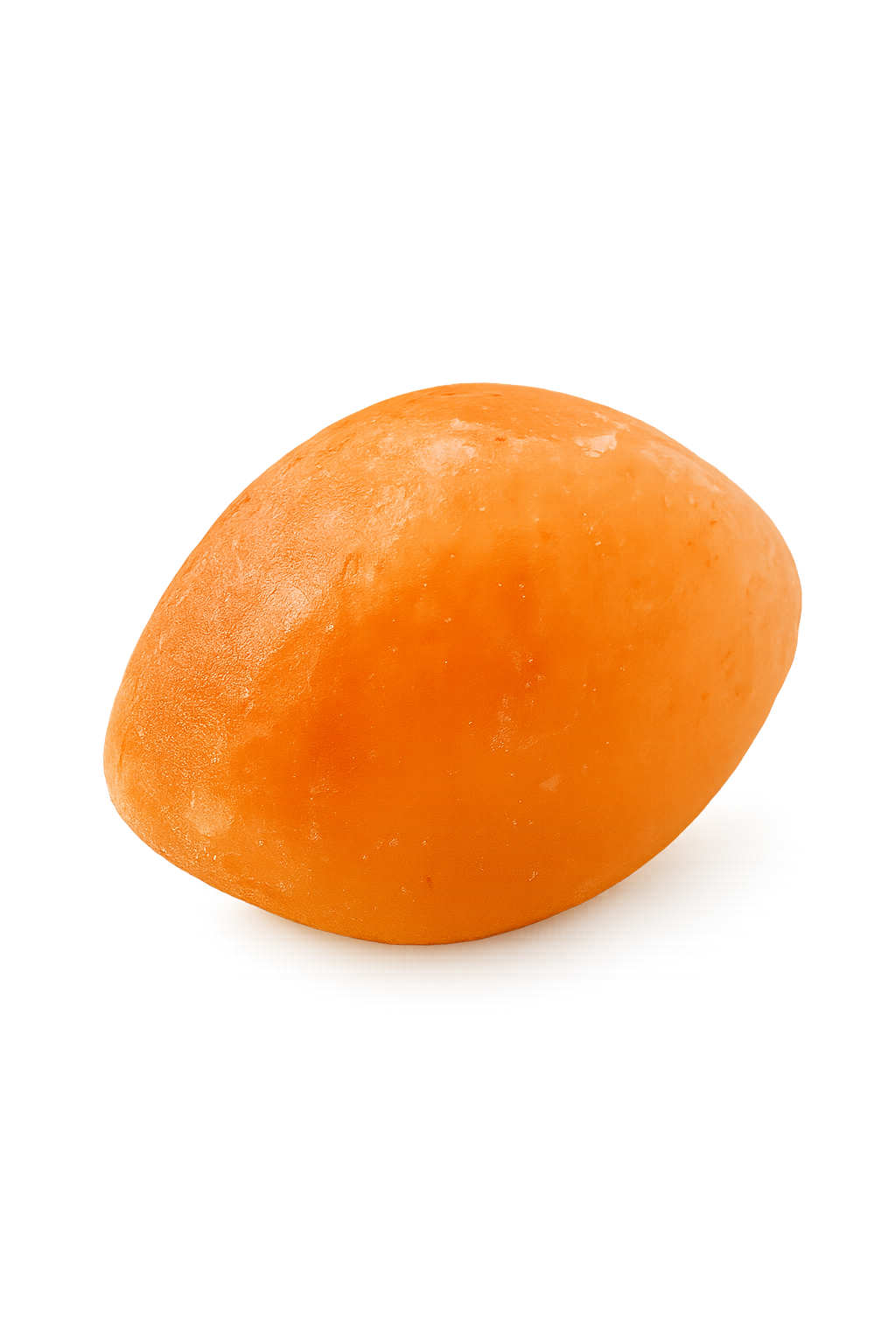 Salt Oval Soap