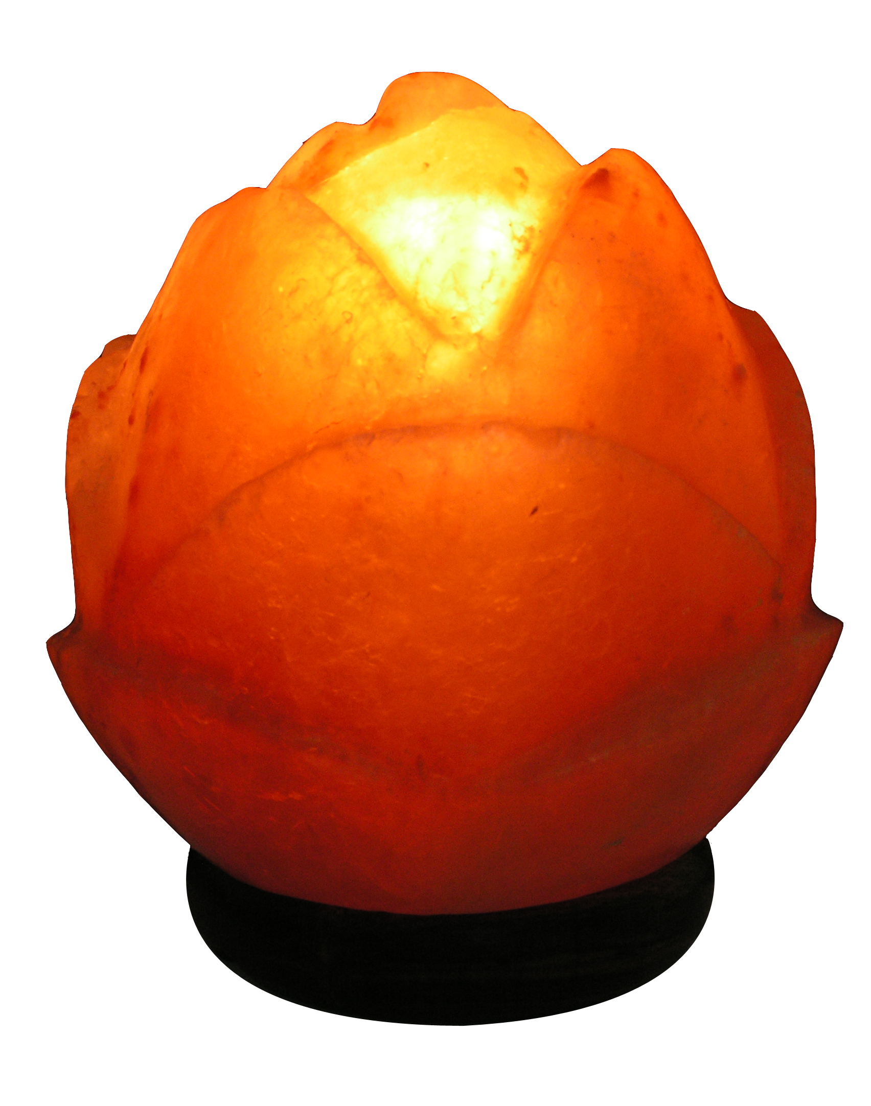 Product 31