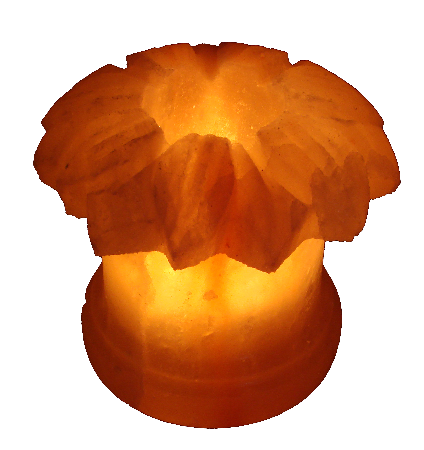 Salt Sunflower Candle