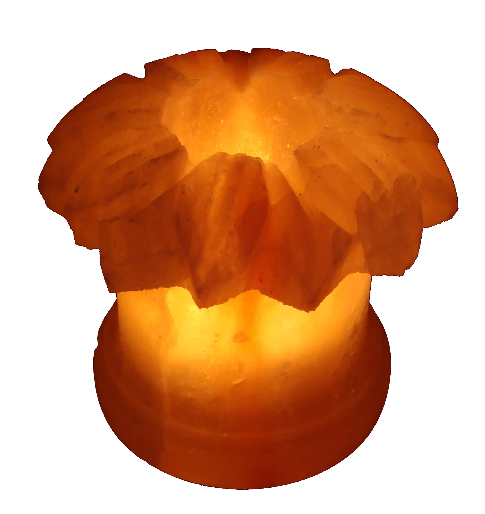 Salt Sunflower Candle