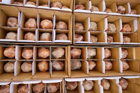 Export Cartons Quality Check